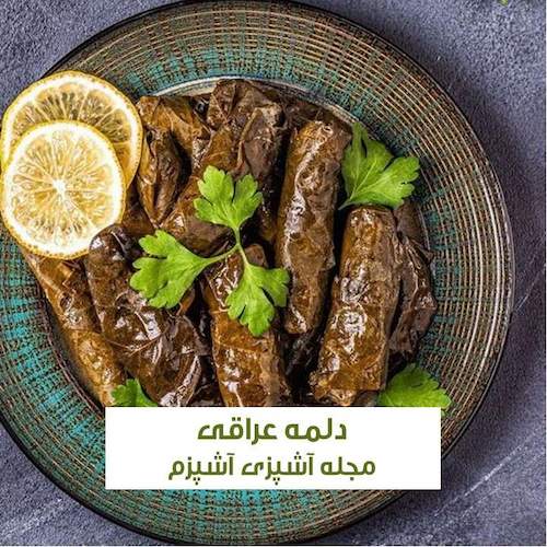 طرز تهیه دلمه برگ مو عراقی بسیار خوشمزه با آموزش آسان