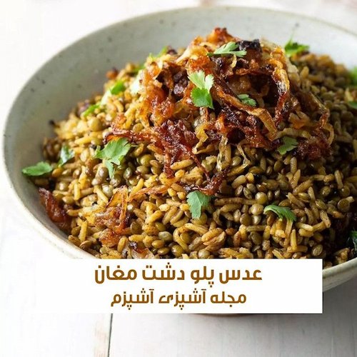 طرز تهیه عدس پلو دشت مغان با گوشت چرخ کرده مجلسی