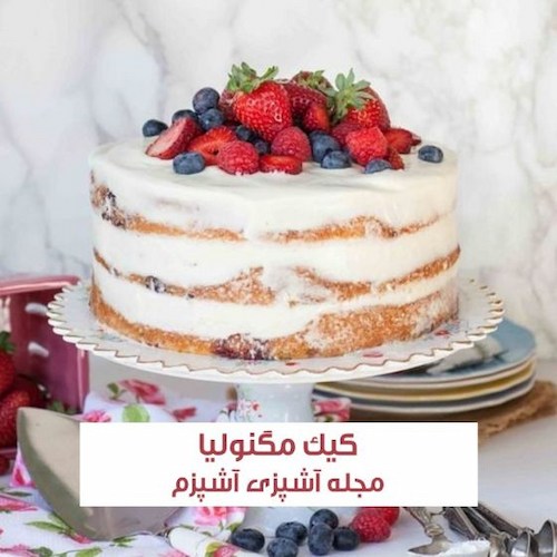 طرز تهیه کیک مگنولیا کافی شاپی با توت فرنگی 