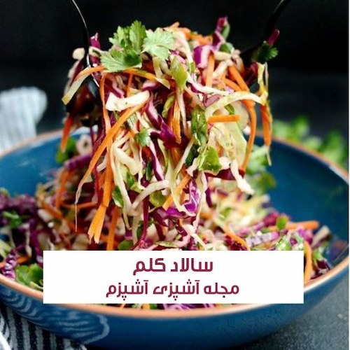 طرز تهیه سالاد کلم با خیارشور به روش رستورانی