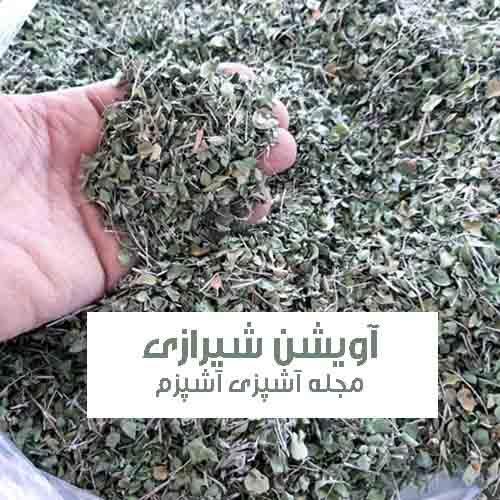 خواص و فواید گیاه آویشن شیرازی در طب سنتی