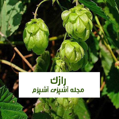 خواص و فواید رازک در طب سنتی برای مردان و زنان