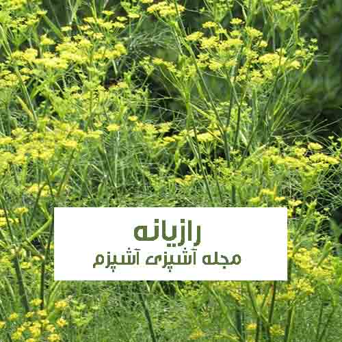 خواصو عوارض رازیانه برای زنان ، دستگاه گوارش و سیستم ایمنی بدن خواصو عوارض رازیانه برای زنان ، دستگاه گوارش و سیستم ایمنی بدن