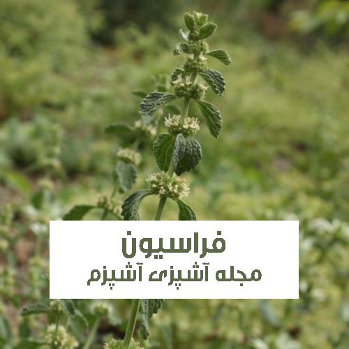 خواص فراسیون در طب سنتی برای زنان و مردان