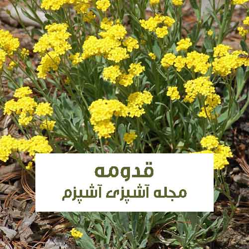 خواص قدومه برای سرفه ، دستگاه گوارش و سنگ کلیه + روش مصرف قدومه