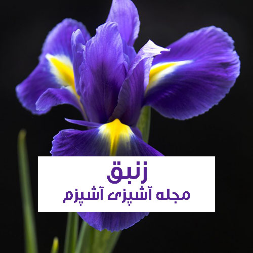 خواص گل زنبق در طب سنتی برای دستگاه گوارش و پوست