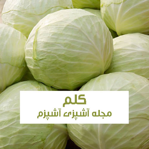 خواص و فواید کلم + نحوه استفاده کلم برای لاغری و سلامتی بدن
