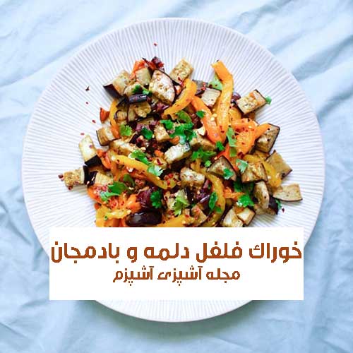 طرز تهیه خوراک فلفل دلمه‌ و بادمجان با سس مخصوص