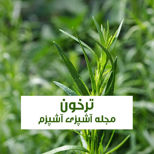 خواص ترخون در طب سنتی و اسلامی برای زنان و دستگاه گوارش خواص ترخون در طب سنتی و اسلامی برای زنان و دستگاه گوارش