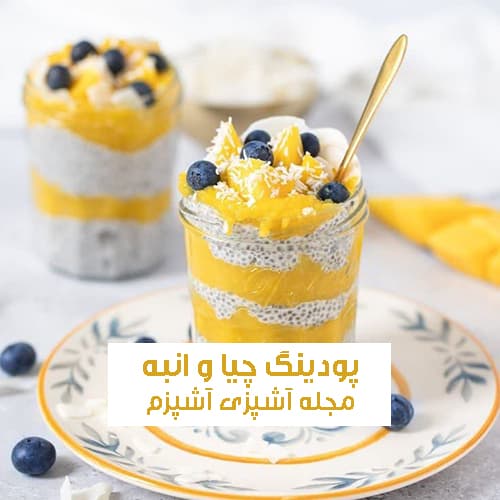 طرز تهیه پودینگ چیا و انبه مغذی و با فیبر بالا برای لاغری