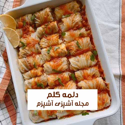 طرز تهیه دلمه کلم سفید با سس مخصوص بدون گوشت یک وعده سالم و گیاهی