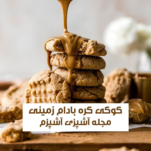 طرز تهیه کوکی پروتئینی کره بادام‌ زمینی با شیرین‌ کننده استویا ویژه ورزشکاران