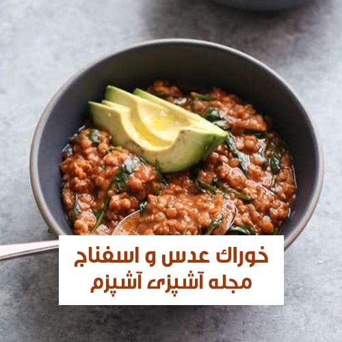 طرز تهیه خوراک عدس و اسفناج بدون گوشت مخصوص گیاه خواران