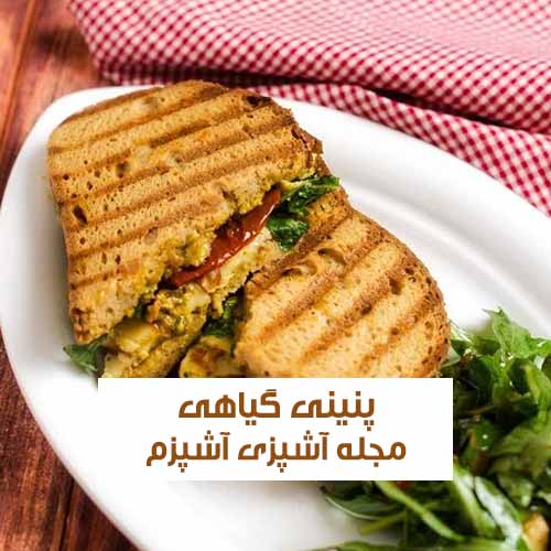 طرز تهیه پنینی گیاهی بدون گوشت مخصوص وگان با سس مخصوص