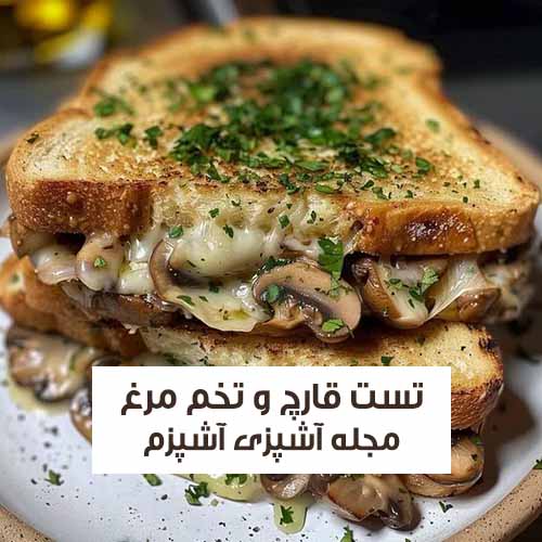 طرز تهیه تست قارچ و تخم مرغ ساده و مقوی برای صبحانه کودکان